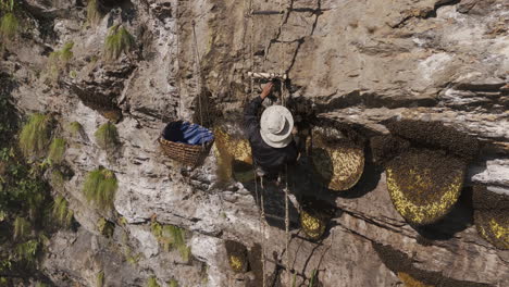 Drone-shot-of-a-honey-hunter-removing-bees-from-hives-on-a-huge-cliff-in-Nepal's-endangered-forest