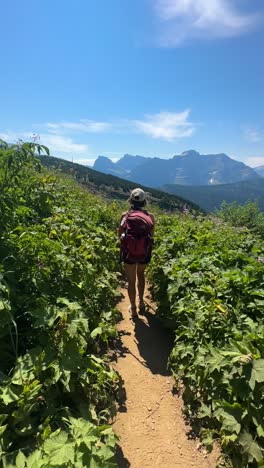 Vertical-4k,-Following-Female-Hiker-Walking-on-Trail-in-Mountains-Between-Wild-Green-Plants-on-Sunny-Day