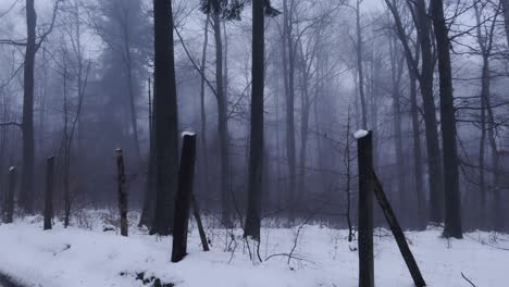 4K-shot-of-a-snowy-forest-path-with-car-tracks,-fog,-and-a-metal-net-fence-with-wooden-poles