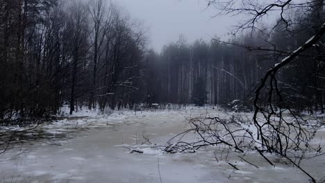 4K-shot-of-a-frozen-pond-in-a-forest-in-Poland,-surrounded-by-branches-and-deadly-looking-trees-and-a-tranquil-but-atmospheric-winter-landscape