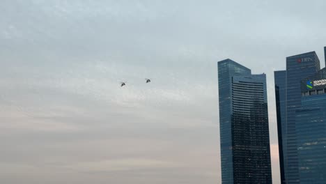 Dos-Helicópteros-De-Ataque-Apache-Sobrevuelan-El-Distrito-Central-De-Negocios-Durante-El-Desfile-De-Ensayos-Del-Día-Nacional-De-Singapur