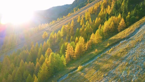 Schweiz,-Pontresina,-Alpen,-Natur,-Berge,-Lerche,-Herbst,-Farbe,-Schweizerisch,-Tourismus