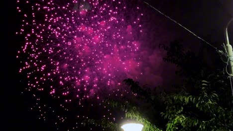 Lebendiges-Feuerwerk-Erhellt-Den-Nachthimmel-über-Einem-Park-Mit-Lebhaften-Farben