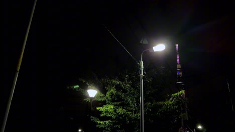 Streetlights-illuminate-a-park-at-night-with-a-distant-lit-tower-in-the-background