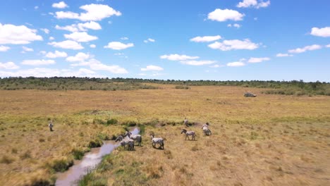 Droneshot-of-a-Herb-of-Zebras-running-in-Kenya,-Africa