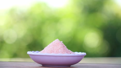 A-small-bowl-full-of-Himalayan-salt-with-green-blur-nature-background