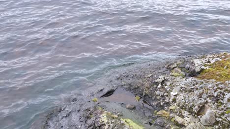 Close-up-view-of-freshwater-of-Loch-Ness-lapping-up-onto-rocky-shoreline-in-highlands-of-Scotland-UK