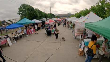 Erhöhte-Ansicht-Und-Schwenk-Von-Menschen-Und-Ihren-Haustieren-Auf-Dem-örtlichen-Bauernmarkt-Am-Samstagmorgen