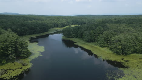 Vista-Aérea-Panorámica-Que-Desciende-Sobre-El-Lago-Fitzgerald-En-Northampton,-Massachusetts,-Con-Un-Amplio-Claro-En-La-Superficie-Entre-La-Maleza-De-Castaños-De-Agua.