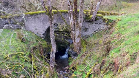 Vista-Panorámica-Idílica-De-Un-Arroyo-De-Agua-Que-Fluye-Bajo-Un-Antiguo-Puente-De-Piedra-Cubierto-De-Musgo-Verde-En-El-Campo-Rural-De-Las-Tierras-Altas-De-Escocia,-Reino-Unido