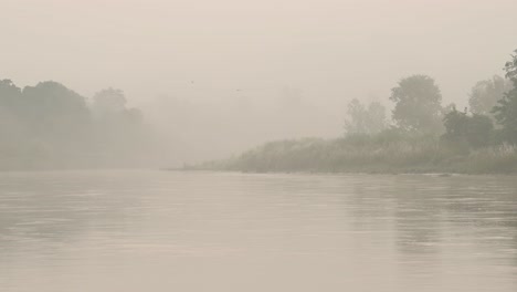 Sunset-Birds-Flying-over-a-River-in-Nepal,-Flock-of-Common-Cattle-Egret-Birds-in-Flight-at-Sunset-in-Chitwan-National-Park,-Birdlife-and-Birds-of-Nepal-in-Misty-Mist-on-a-Beautiful-Peaceful-Sunset