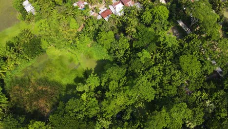 Top-Down-Aerial-of-Indigenous-Village-Community-Surrounded-by-Forest-with-Lush-Green-Trees-in-the-Amazon-Rainforest-in-Brazil