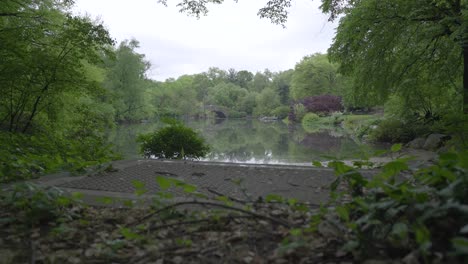 Establecimiento-De-Un-Lago-De-Agua-Con-Vegetación-Verde-Dentro-Del-Parque-Central-De-Nueva-York