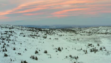 Drohne-Zur-Einrichtung-Einer-Dolly-Der-Schneebedeckten-Blefjell-Bergkette-Buskerud-Telemark-Norwegen-Mit-Abendrot-Im-Himmel-Und-Bäumen-über-Der-Landschaft