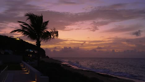 Violet-sky-during-sunset-on-Baie-Rouge-beach-with-a-silhouetted-palm-tree-in-Saint-Martin