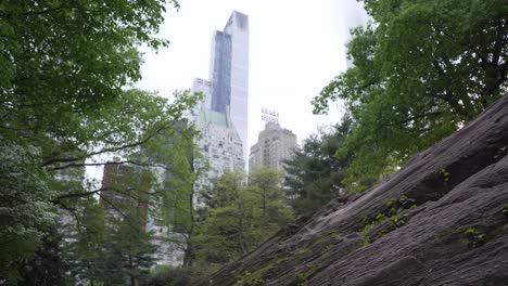 Skyline-Stadtbild-Moderne-Gebäudeansicht-Eingerahmt-Mit-Pflanze-Im-Central-Park-NYC