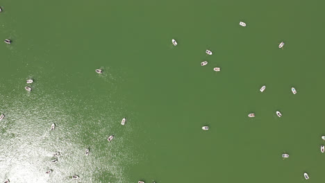 Beautiful-wide-shot-of-"El-Retiro-Park"-in-Madrid-with-a-drone-passing-over-the-large-pond-full-of-boats,-trees-and-many-tourists