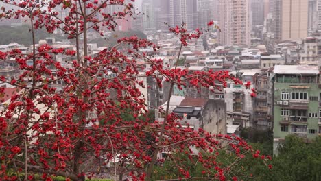 Edificios-Y-Barrios-Del-Horizonte-De-Macao-Cubiertos-De-Una-Densa-Niebla-Debido-A-La-Contaminación-Por-Ozono