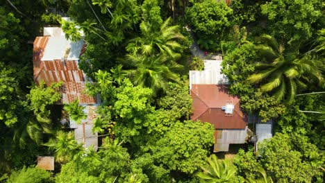 Houses-In-A-Village-Amidst-Green-Trees-In-The-Forest---Aerial-Top-Down