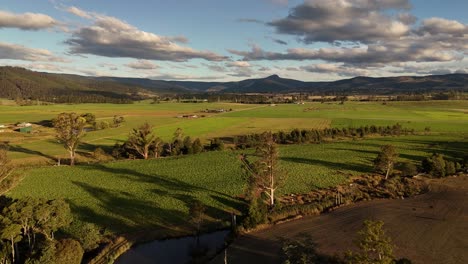 Campos-Agrícolas-Verdes-Y-Amarillos-Con-Montañas-Durante-La-Hora-Dorada-En-Tasmania