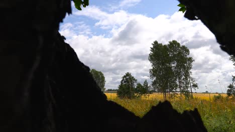 Static-shot-view-from-dark-hole-with-tree-and-bright-white-clouds-in-sky,-Latvia