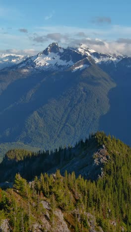 Vertical-video-of-Rocky-Mountains-and-tree-tops