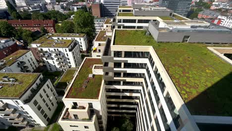 Aerial-top-down-of-green-rooftop-garden-with-plants-and-moss