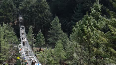 Mulas-Cruzando-Un-Puente-Colgante-En-La-Ruta-Del-Campamento-Base-Del-Everest,-Nepal