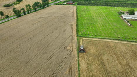 Vista-Aérea-De-Una-Cosechadora-Trabajando-A-Lo-Largo-Del-Borde-De-Un-Campo-De-Trigo-Y-Un-Huerto.