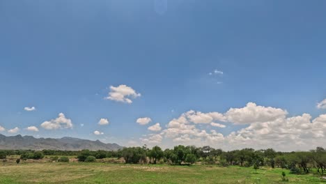 Mexikanische-Wüsten-Mit-Gelbem-Licht,-Das-Wolken-Und-Leben-Bedeutet