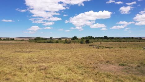 Drone-Shot-of-Zebras-and-Giraffes-in-Kenya,-Africa