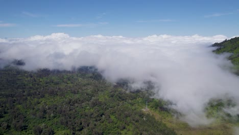 Luftaufnahmen-über-Den-Von-Nebel-Bedeckten-Bäumen-In-Der-Bergwaldnatur