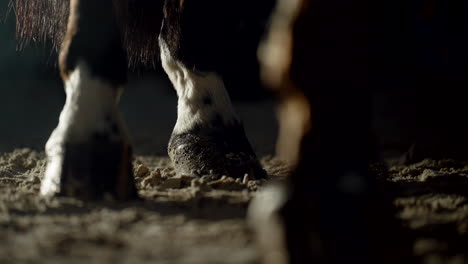 Closeup-of-Horse-Hooves-Galloping-Away-From-Camera-in-Atmospheric-Barn