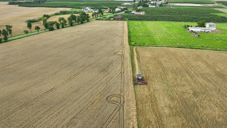 Aerial-view-of-a-combine-harvester-working-along-the-border-of-a-wheat-field-and-an-orchard