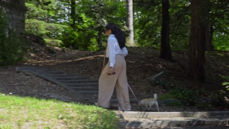 Mujer-De-Cabello-Oscuro-Paseando-A-Su-Perro-En-Un-Hermoso-Parque,-Vista-Posterior