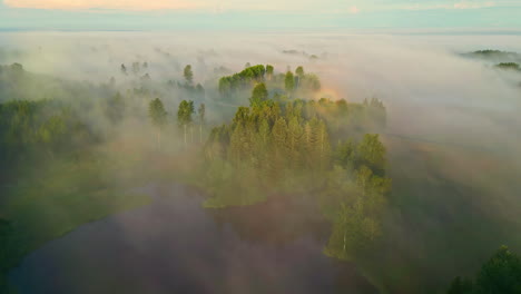 Aerial-view-overlooking-a-fog-covered-forest-and-a-pond