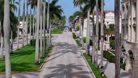 Drone-forward-shot-of-Royal-Palm-Tree-Street-om-West-Palm-Beach