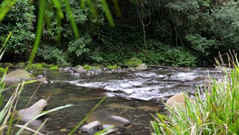 Australischer-Regenwald-Fluss-Barrington-Tops-Nationalpark