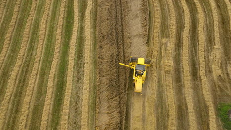 High-angle-view-of-a-yellow-combine-harvester-creating-distinct-rows-while-harvesting-wheat