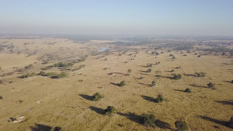 Aerial-shot-panning-round-to-show-the-never-ending-African-bush-on-a-bright,-sunny-morning