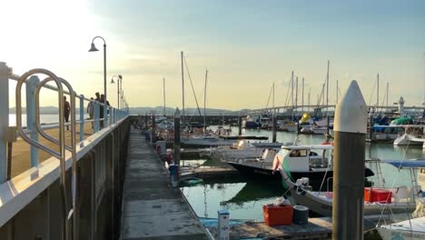 Tourist-walking-and-fleet-of-sailing-yachts-docked-at-the-Raffles-Marina-Lighthouse-Pier-in-the-afternoon