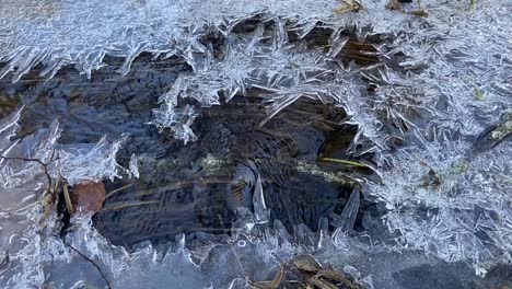 Las-Delicadas-Formaciones-De-Hielo-Contrastan-Con-El-Suave-Movimiento-Del-Agua,-Resaltando-La-Transición-Del-Invierno-A-La-Primavera.