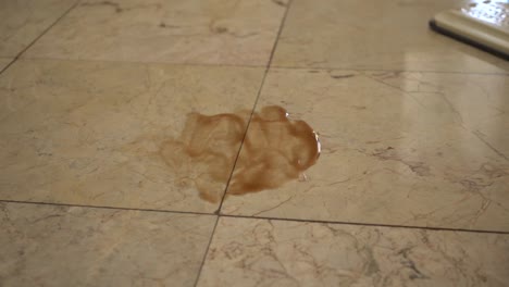 clean-the-ketchup-on-the-tile-floor-with-mop