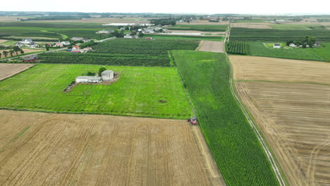 Vista-Aérea-De-Una-Cosechadora-Trabajando-En-Un-Campo-De-Trigo-Adyacente-A-Un-Exuberante-Huerto-Verde.