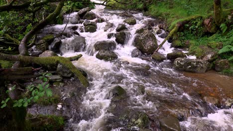 The-Poulanass-river-tumbles-over-boulders-at-the-top-of-the-water-falls-in-Wicklow-National-Park,-Ireland