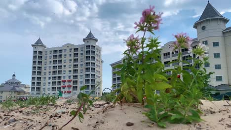 Lujosa-Vista-Exterior-De-Los-Interruptores-Del-Hotel-Desde-La-Vista-Del-Punto-De-Cedro-En-Sandusky,-Ohio,-Estados-Unidos