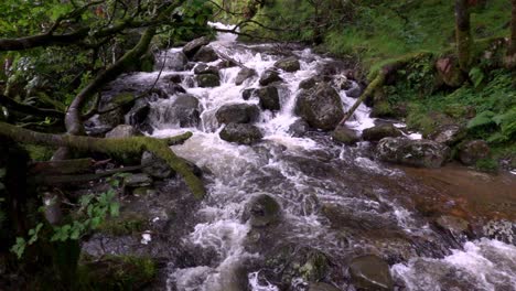 The-Poulanass-river-tumbles-over-boulders-at-the-top-of-the-water-falls-in-Wicklow-National-Park,-Ireland