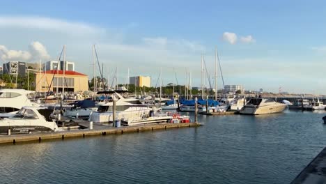 Una-Flota-De-Yates-De-Vela-Atracados-En-El-Muelle-Del-Faro-De-Raffles-Marina-Por-La-Tarde.