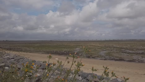 Der-Küstenvorland-Estran-D&#39;Oleron-Und-Die-Brücke,-Um-Den-Kontinent-Im-Hintergrund-Zu-Erreichen