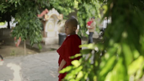 young-burmese-monk-with-traditional-habit-looking-into-the-camera